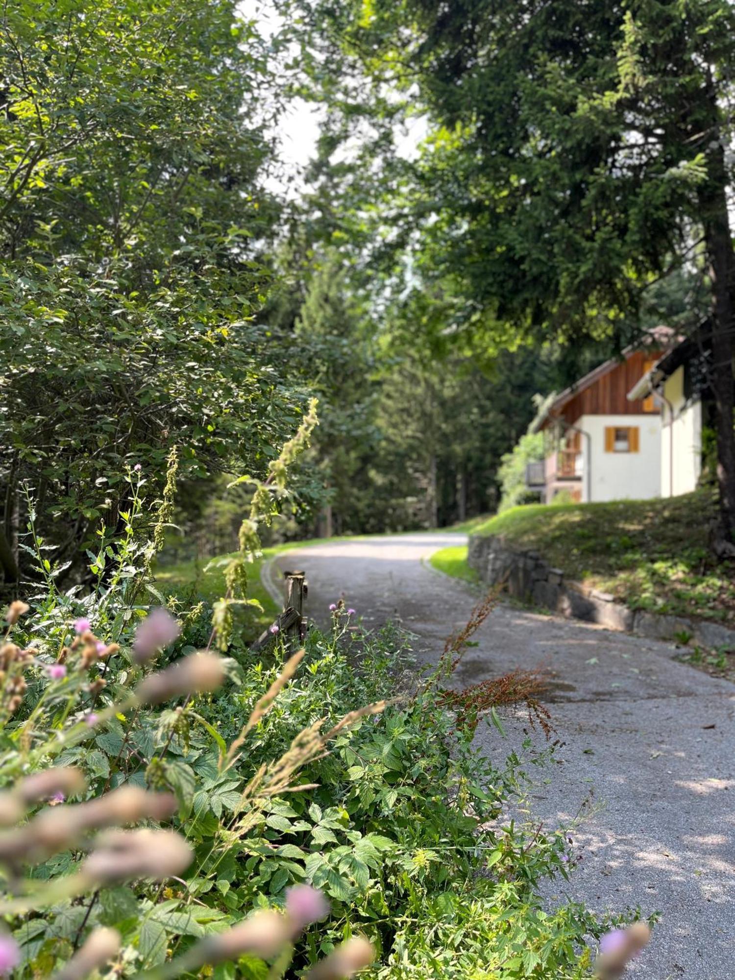 Chalet Harmony Rogla - Apartment ซเร็ตเช ภายนอก รูปภาพ